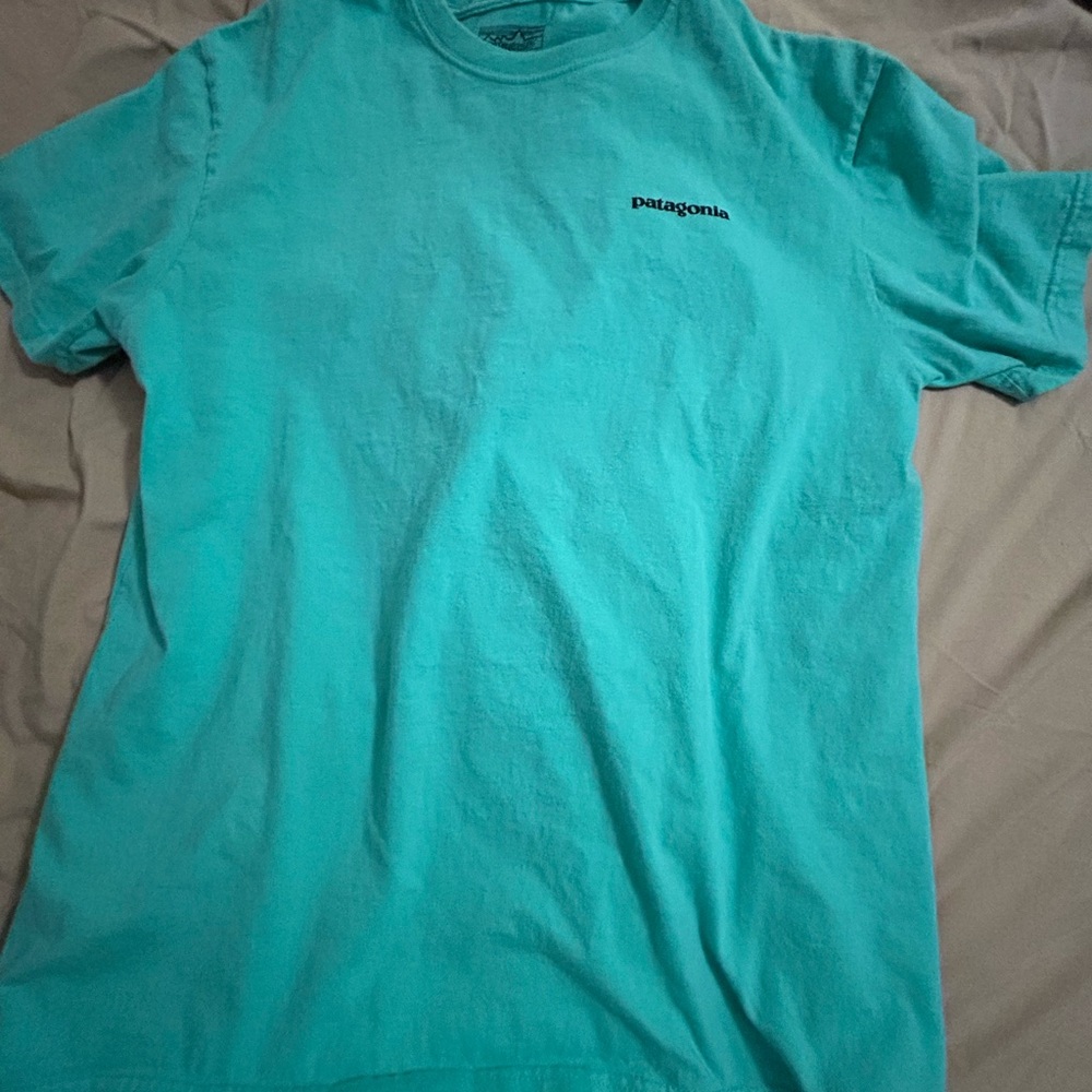 Patagonia Men's Turquoise Short Sleeve Tee